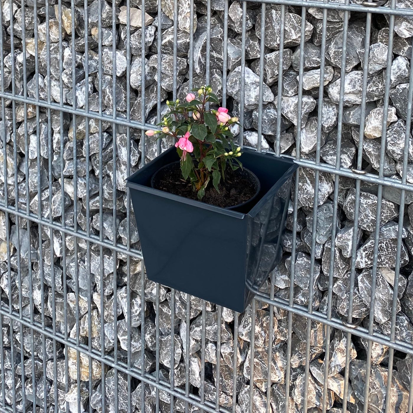 Blumenkasten für Gabionen