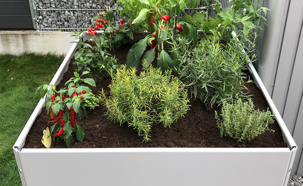 Hochbeet Design Weißaluminium